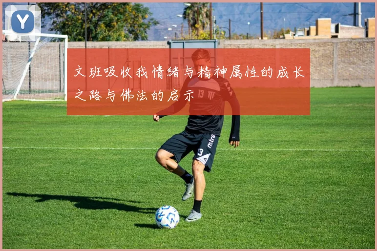 文班吸收我情绪与精神属性的成长之路与佛法的启示
