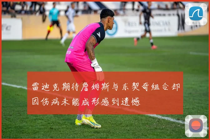 雷迪克期待詹姆斯与东契奇组合却因伤病未能成形感到遗憾