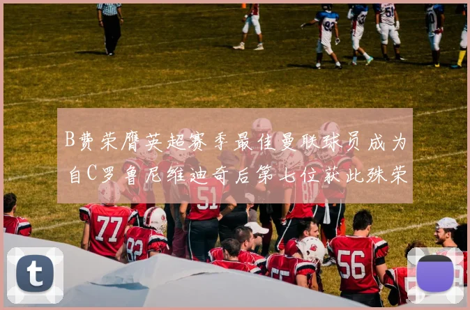 B费荣膺英超赛季最佳曼联球员成为自C罗鲁尼维迪奇后第七位获此殊荣者