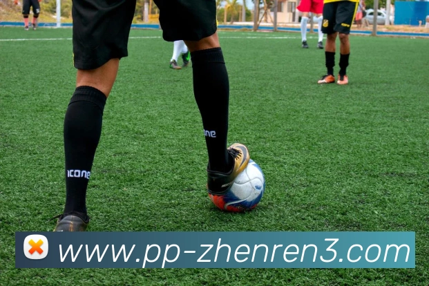 奖项证书